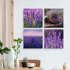 Obrazy Do Kuchni SET Kwiaty Pola LAWENDY Natura Rośliny 100x100cm - Miniaturka zdjęcia nr 4