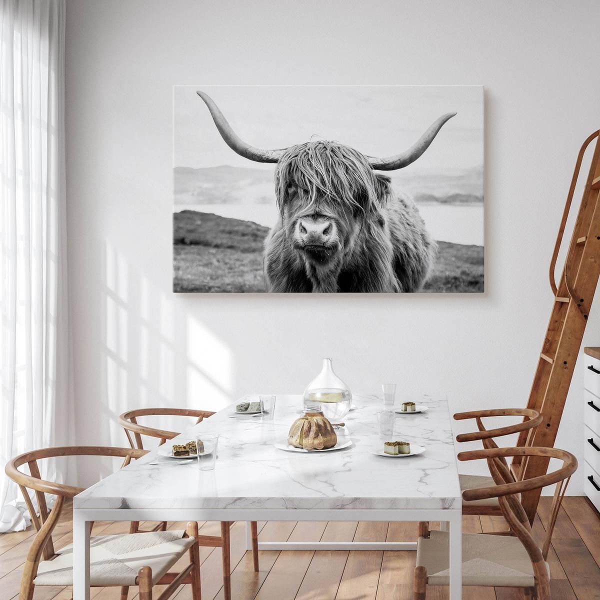 Obraz Do Salonu Krowa Szkocka Klify Czarno-Biały  30x20 Krajobraz Natura nr. 6