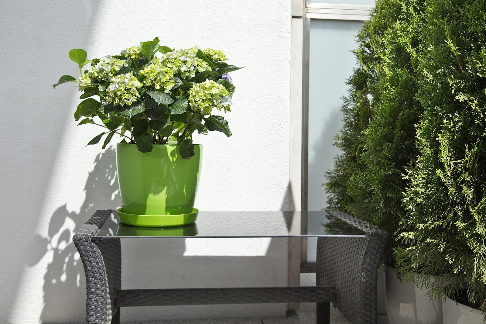 Donica okrągła MAGNOLIA 250 w połysku 8l nr. 4