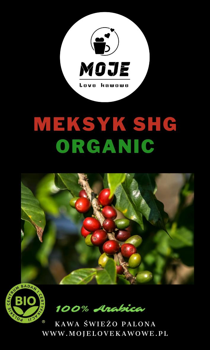 Kawa Meksyk SHG Organic 250g ziarnista