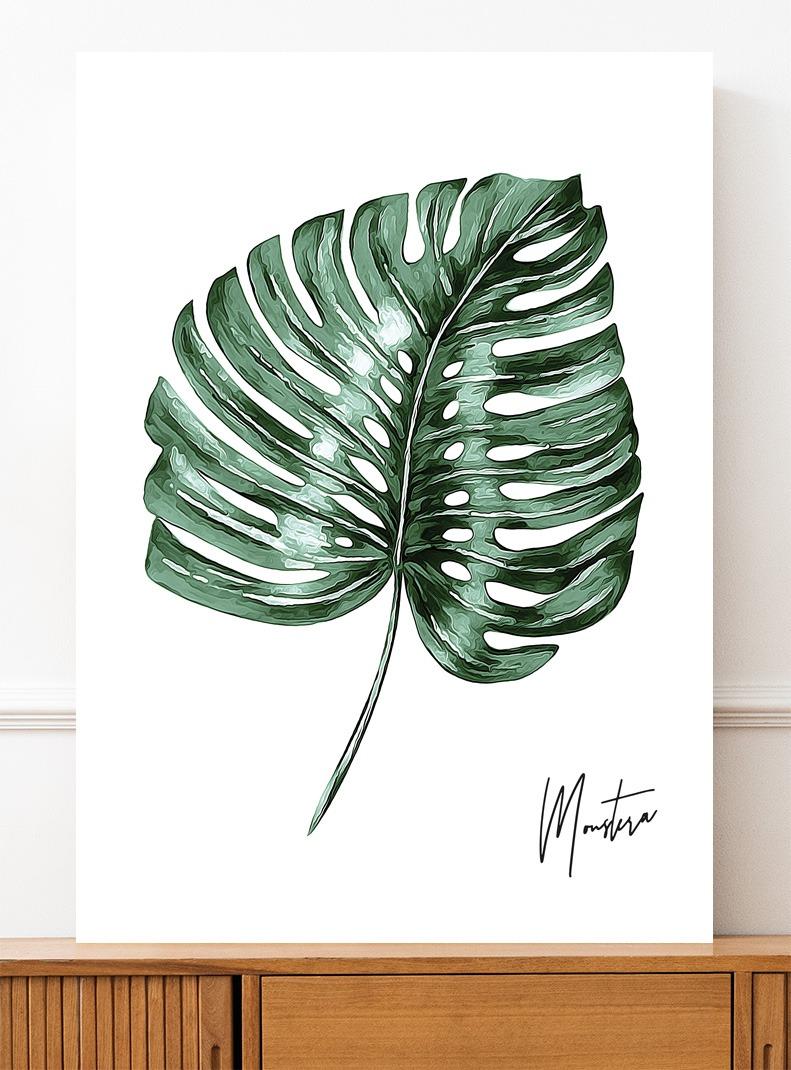 Plakat monstera liść 50x70 cm dekoracja ścienna bez ram  nr. 3